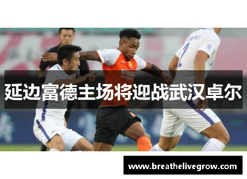 延边富德主场将迎战武汉卓尔